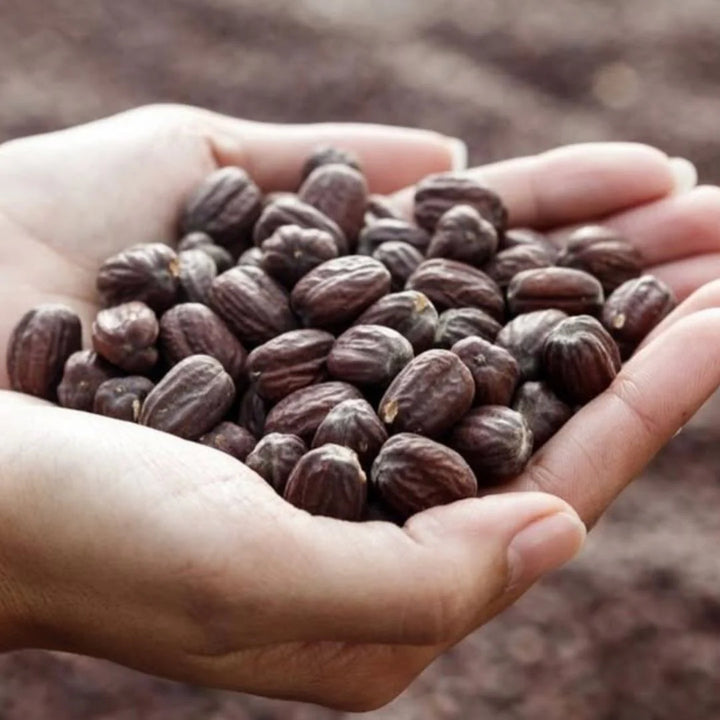 WOO Santal + Jojoba Oil – Nourishing Body & Hair Oil with Aromatic Santal WOO Oils