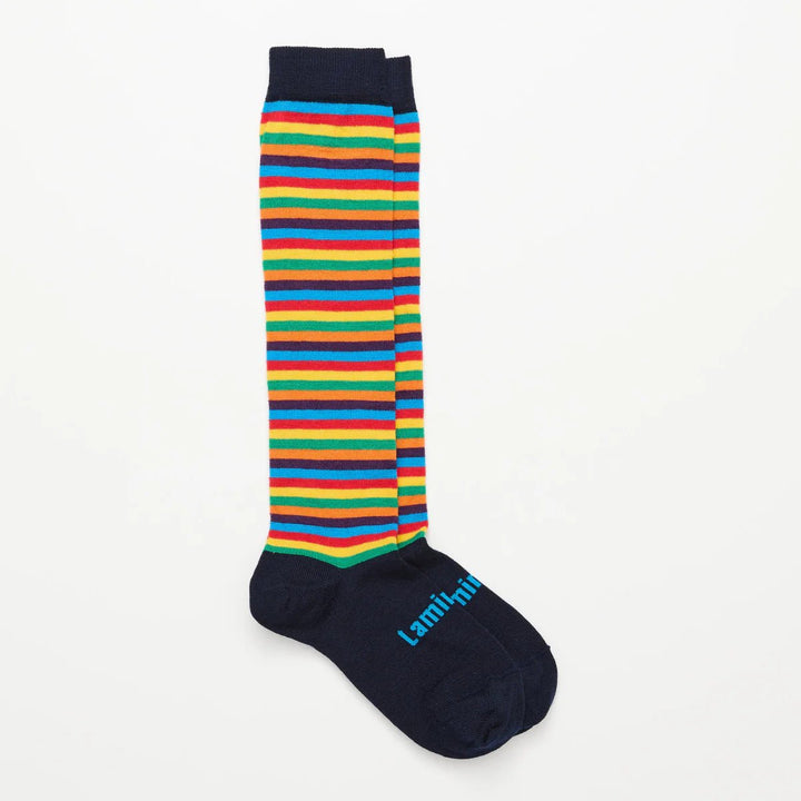 Lamington -Merino Wool Knee High Socks | WOMAN | Jester Lamington
