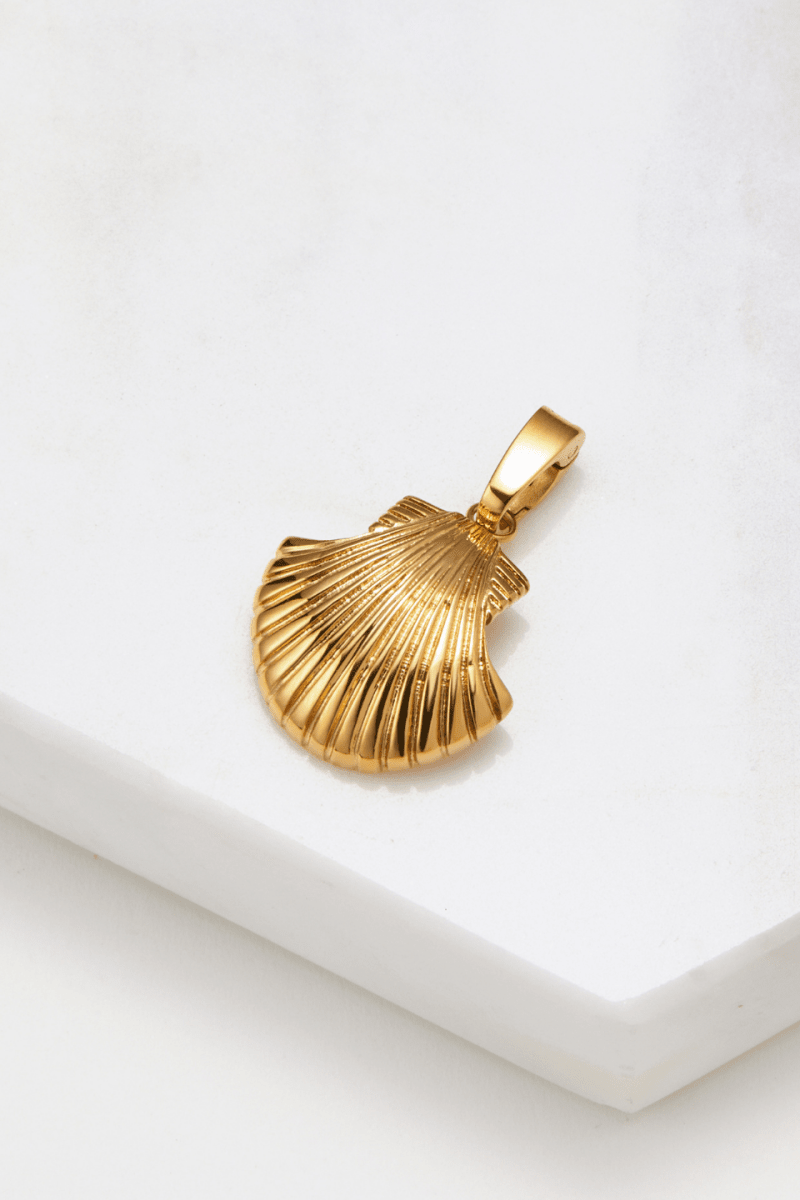 Large Shell Charm charms Zafino Jewellery