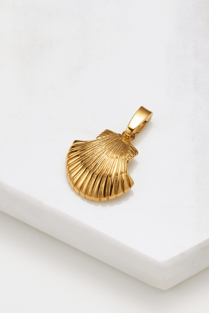 Large Shell Charm charms Zafino Jewellery