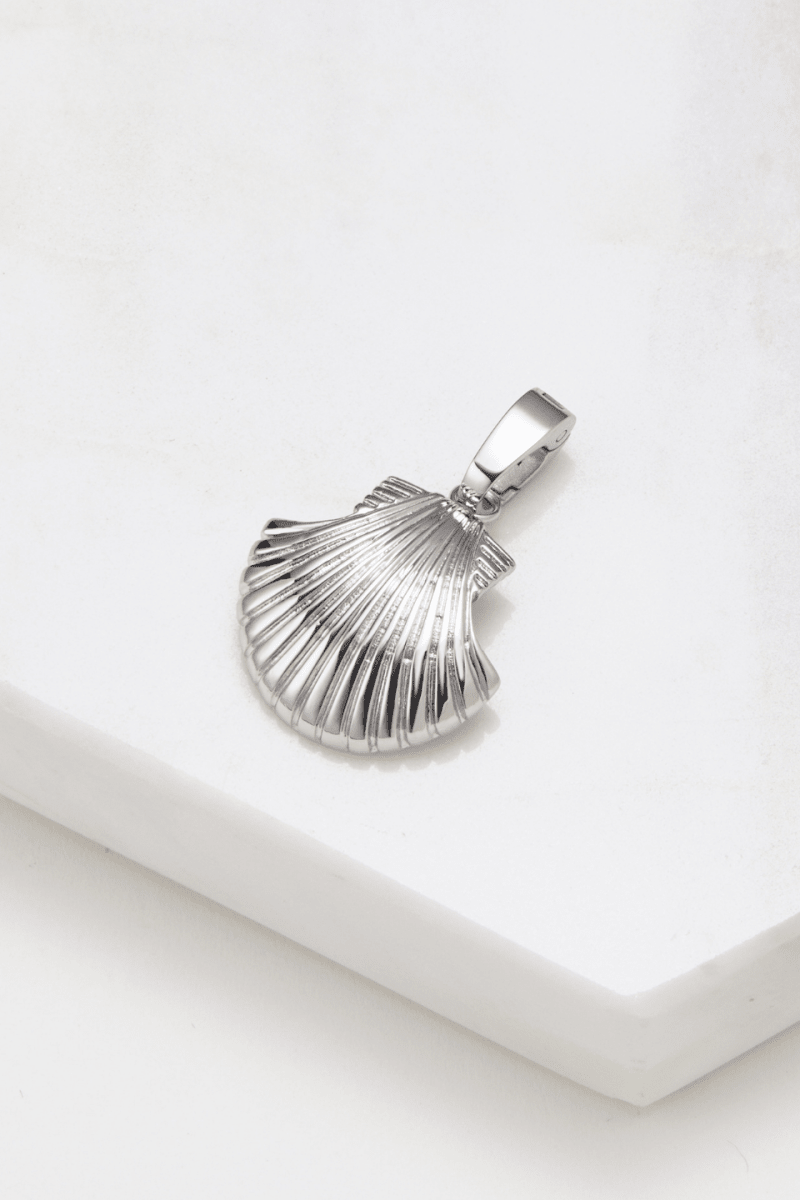 Large Shell Charm charms Zafino Jewellery