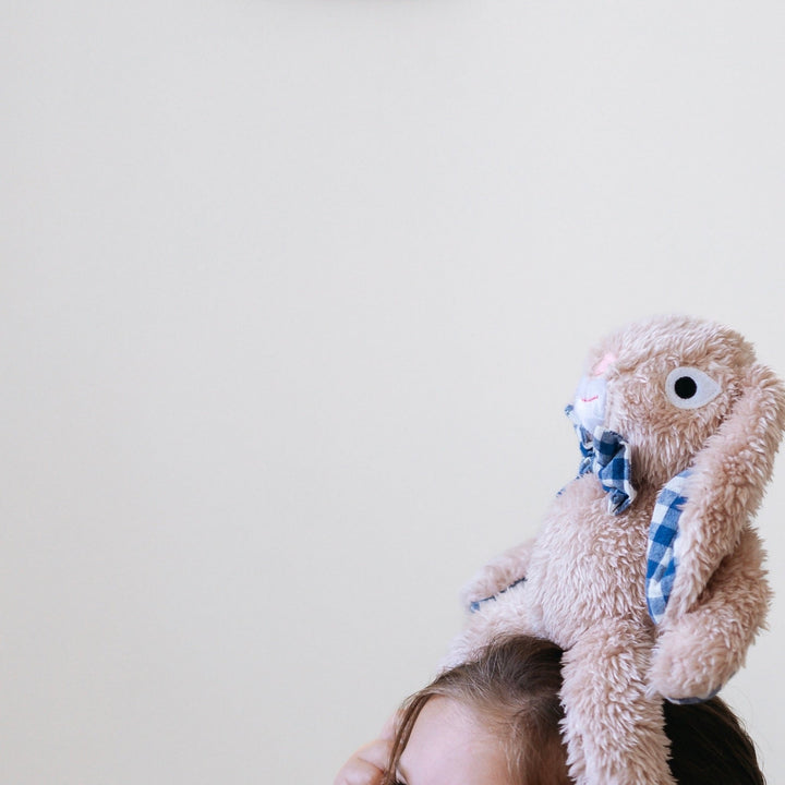 louis rabbit- medium And the Little dog Laughed