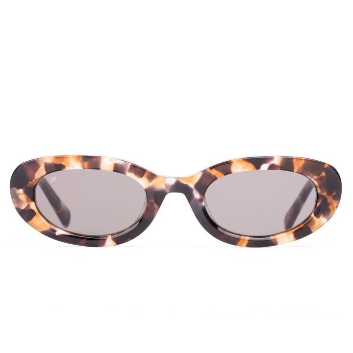 LOURDES - PEBBLE TORT sito shades