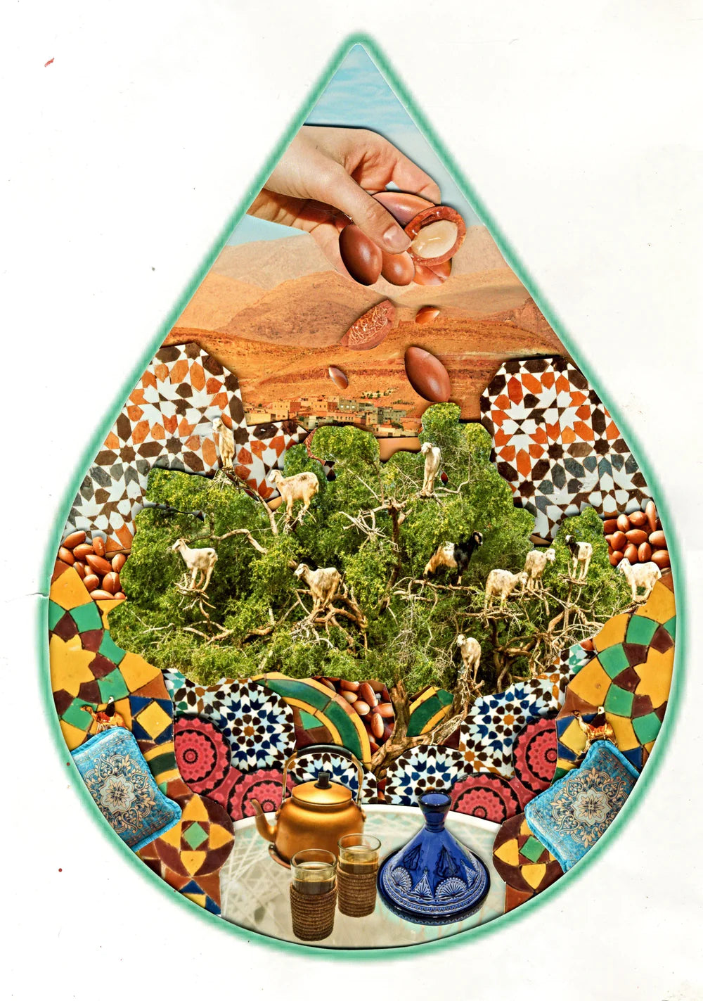 WOO Argan Oil – Hydrating, Anti-Aging, and Softening for Skin, Hair, and Nails WOO Oils