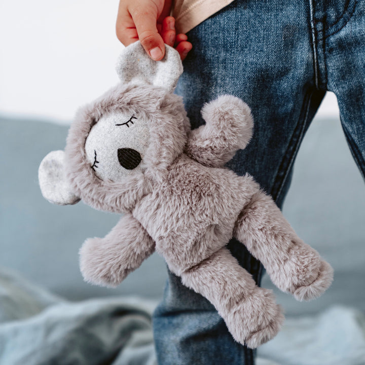 Morton the Koala - plush And the Little dog Laughed