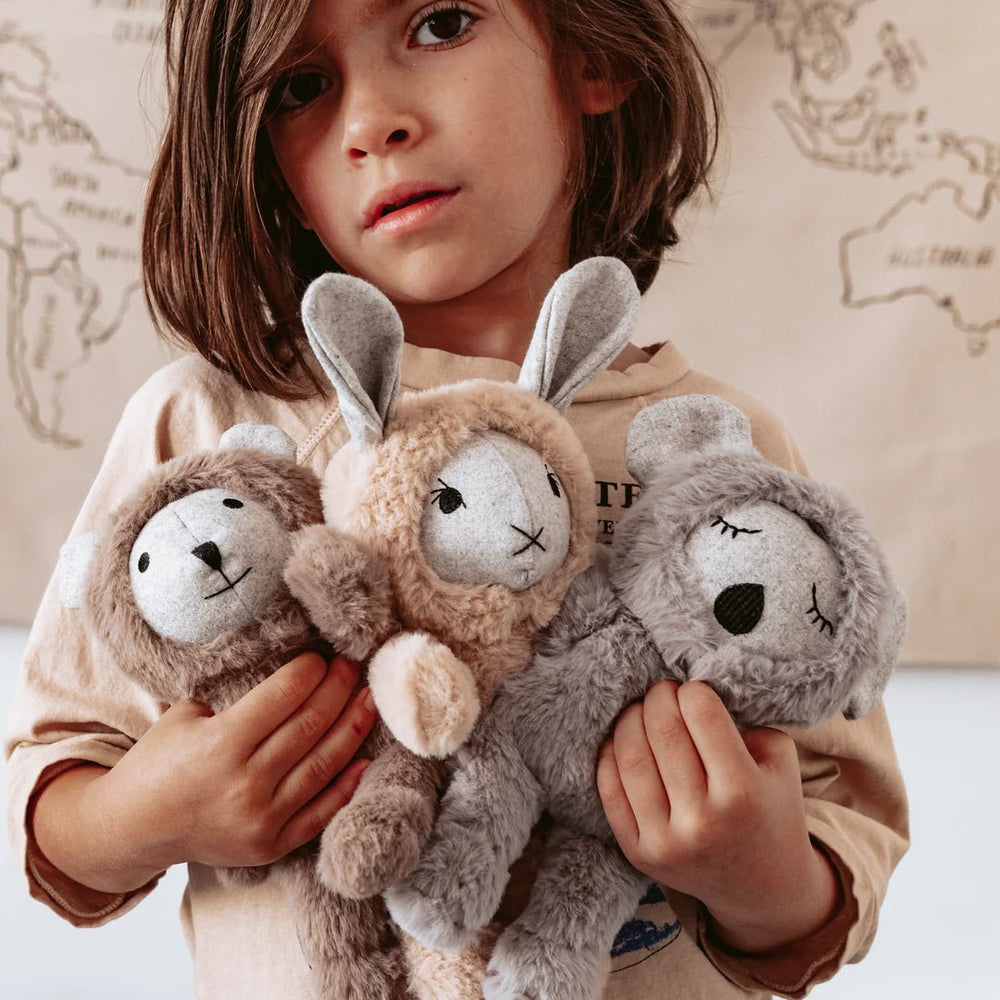 Morton the Koala - plush And the Little dog Laughed