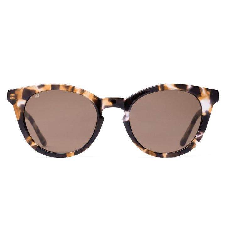 NOW OR NEVER - CHESTNUT TORT sito shades