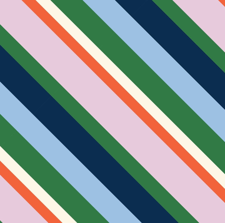 Pencil Case – Rugby Stripe Project Ten Pty Ltd