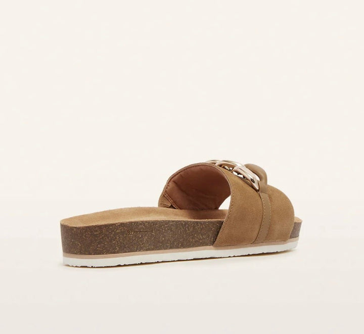 Quinn II Barley Suede by Frankie4 Shoes FRANKIE4