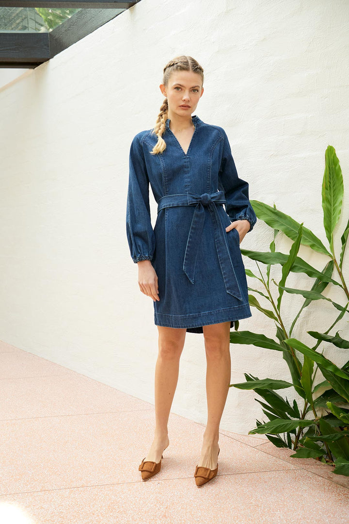 Robin Denim Dress dress The Dreamer Label