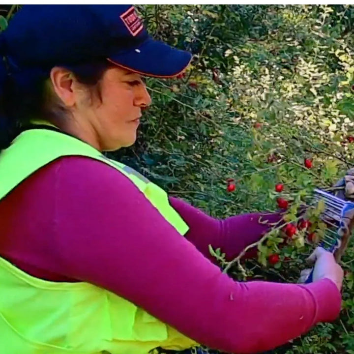 WOO Rosehip Oil – Hydrating, Anti-Aging, & Scar Reducing WOO Oils