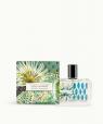 Santal Cardamome Eau de parfum Fragonard