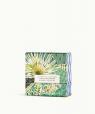 Santal Cardamome Eau de parfum Fragonard