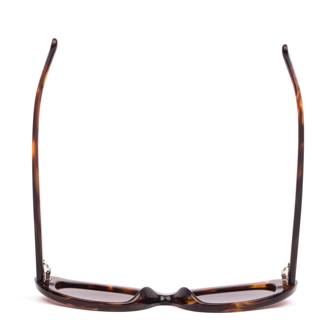 SIENA Sunglasses - BURNT ORANGE TORT Sunglasses Sito Shades