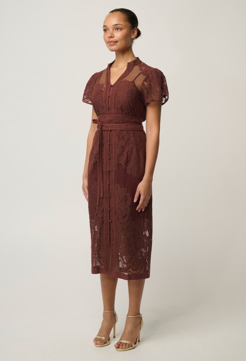 Solene Cotton Blend Lace Dress in Rosewood dress Once Was