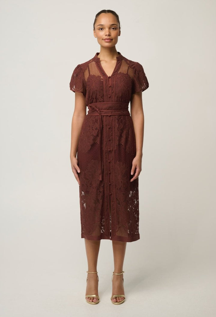 Solene Cotton Blend Lace Dress in Rosewood dress Once Was