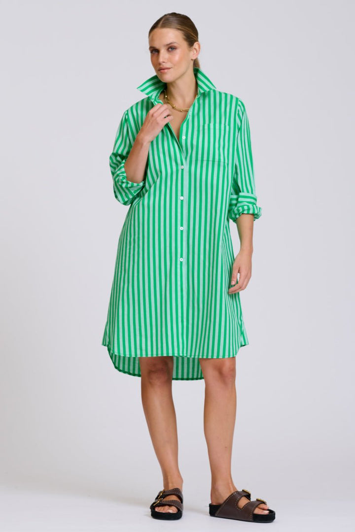 The Classic Cotton Shirt Dress - Double Green Stripe Shirty