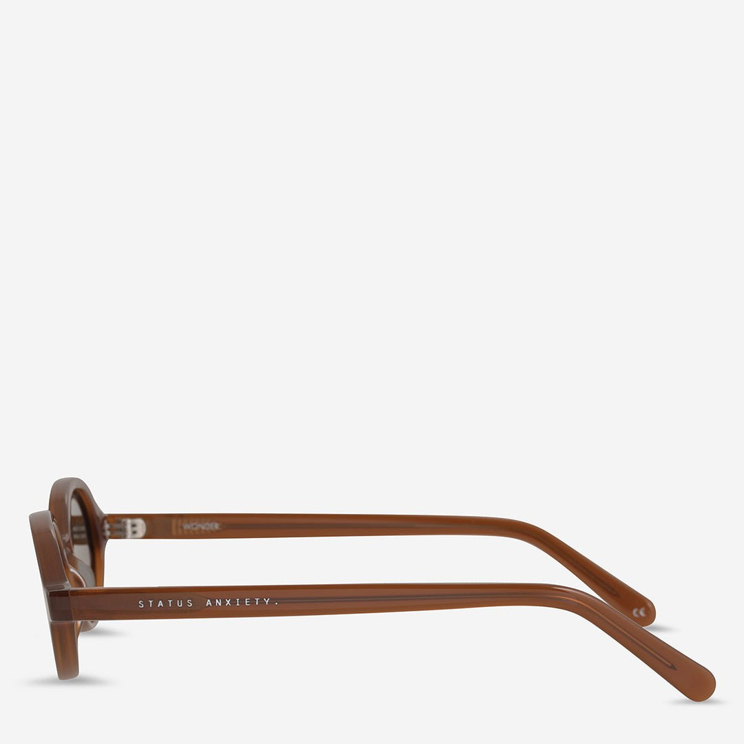 Wonder Sunglasses - Brown Status Anxiety