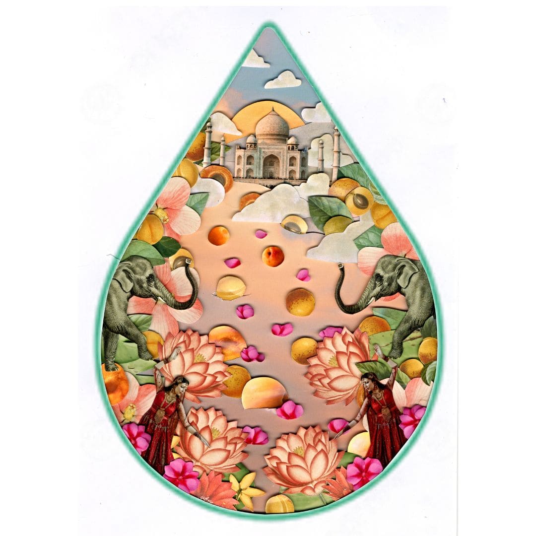 WOO Apricot Oil – The Ultimate Hydrating Oil for Skin, Hair, and Body WOO Oils