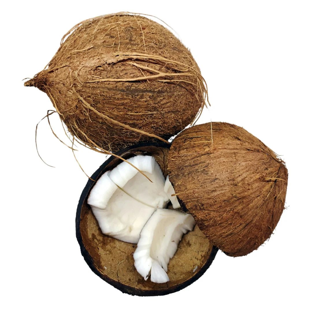 WOO Coconut Oil – Pure Coconut Luxury for Soft, Hydrated Skin & Hair WOO Oils