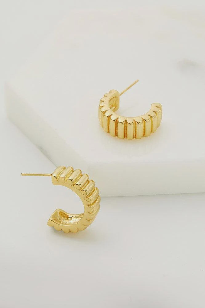 Alex hoop Earings gold earings Zafino Jewellery   