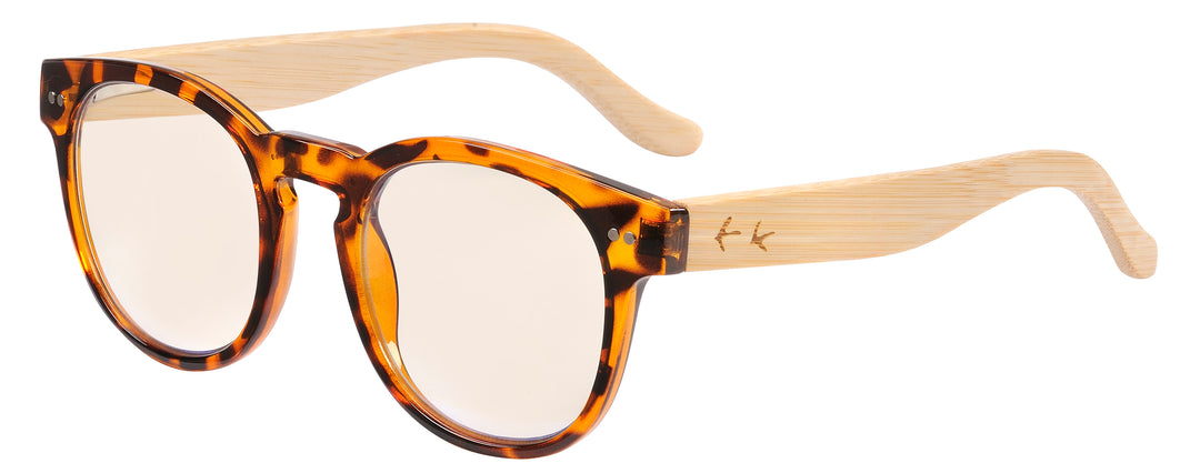 Sticks and Sparrow Blueray Digital Glasses - 4 styles available Sunglasses and Glasses Sticks and Sparrow   