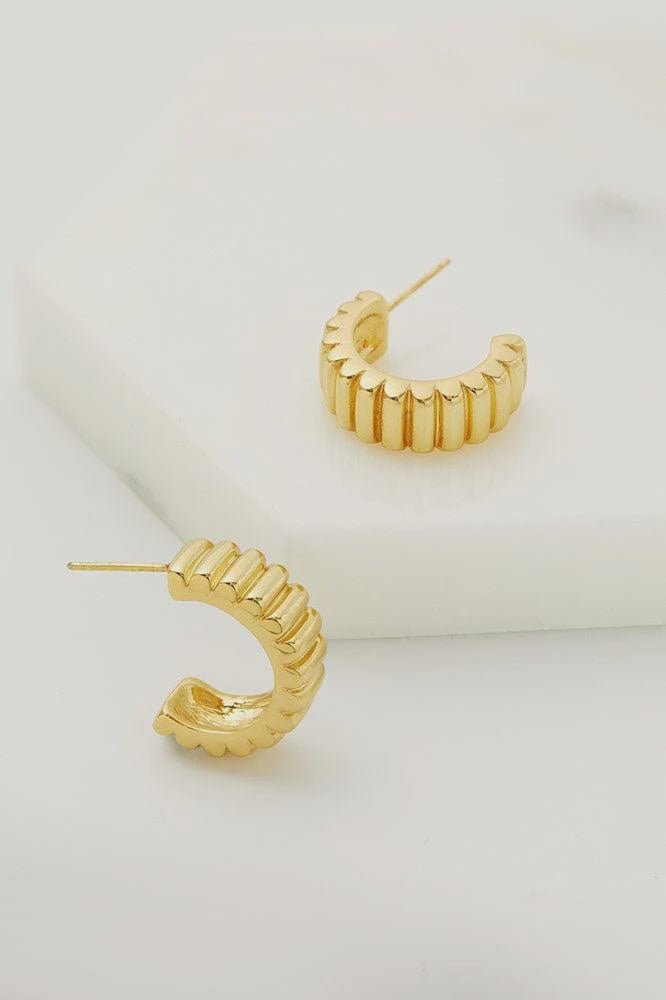 Alex hoop Earings gold earings Zafino Jewellery